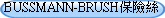 BUSSMANN-BRUSH保險絲